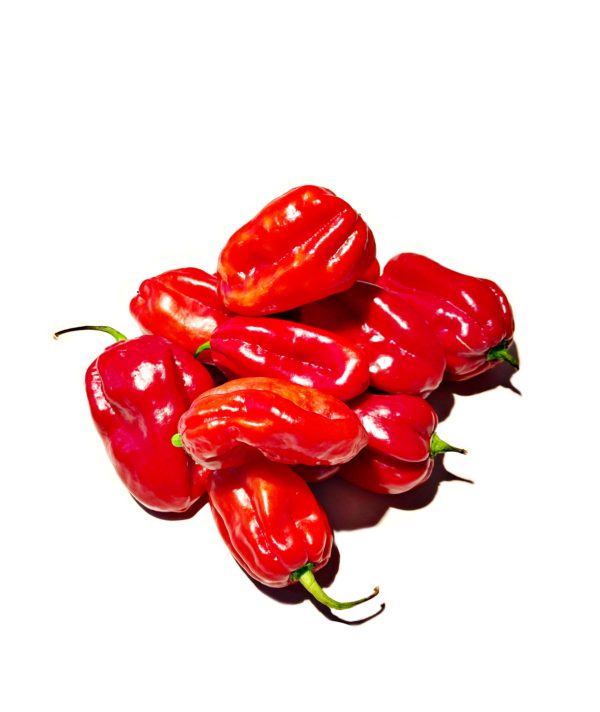 Habaneros frais Aztek